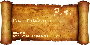 Paur Antónia névjegykártya